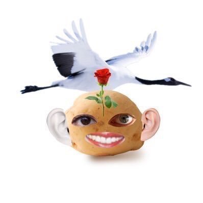 じゃがーどりちゃんさんのプロフィール画像