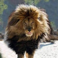 قلم رصاص ... (@2zgoeozdkxwz2pq) 's Twitter Profile Photo
