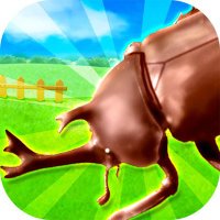 亀田恭平@ネイチャーエンジニア (@kkamedev) Twitter profile photo