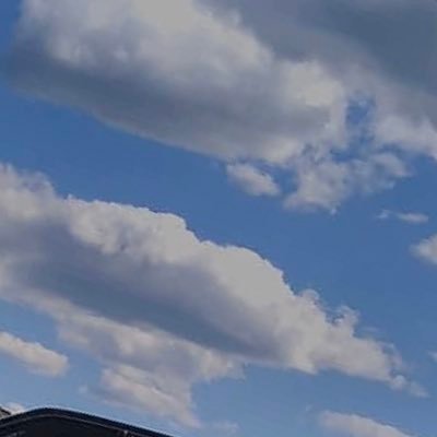 skinnypeennis's profile picture. 