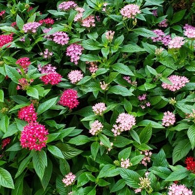 Rin65572829's profile picture. 英語学習中。本読み。海外ドラマ好き。