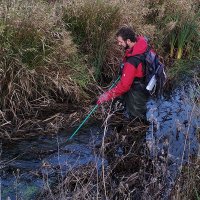Peter Warth (@warthpeter) 's Twitter Profile