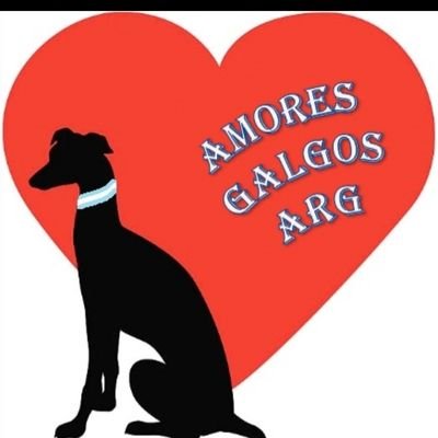 Amores Galgos - Arg