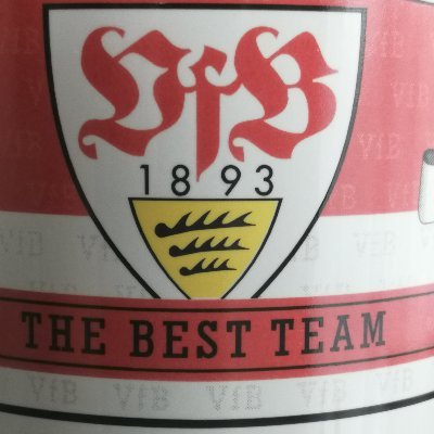 VfB Fan, Mitglied seit Mai 1995