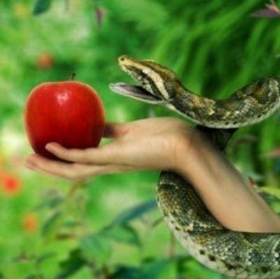 manzanaeden's profile picture. El fruto prohibido del Eden