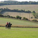 Lambourn Loop (@lambournloop) 's Twitter Profile