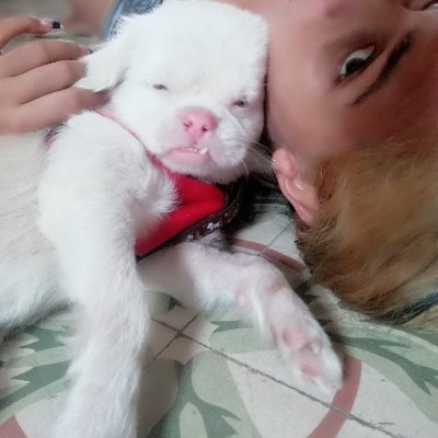 Protectora, Animalista, Trabajadora y Amiga.