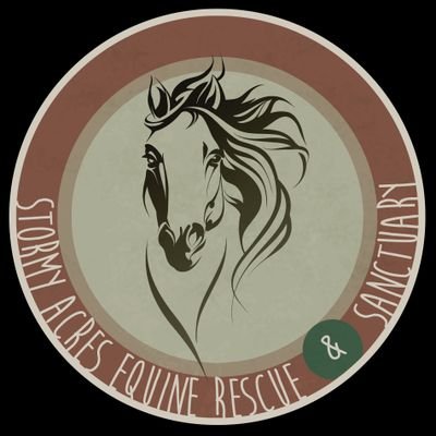 We are a 501(C)3 organization dedicated to the rescue, rehab and sanctuary of equines large and small. Saving horses & donkeys are my life's passion and work.