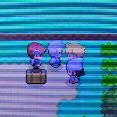 しなぼんぐり 4747pkmn Twitter