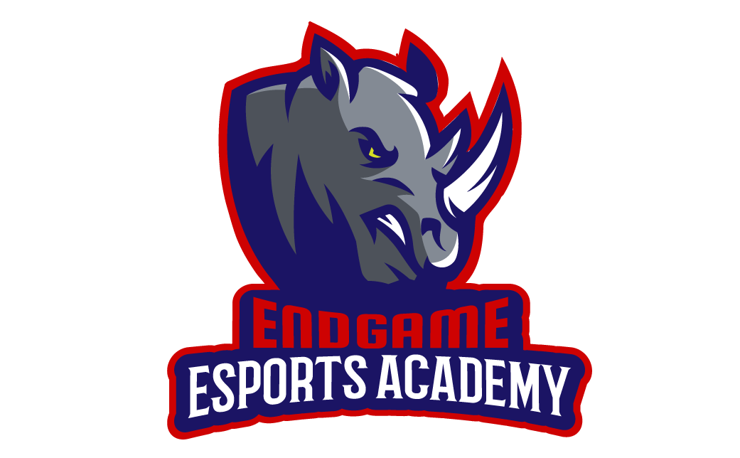 Endgame Esports Academy is the first entity in Nigeria focused on esports education and supporting championship-driven teams.
