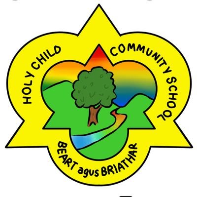 Holy Child Community School, Sallynoggin
