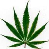 ProCannabis (@procannabis) 's Twitter Profile Photo ProCannabis (@procannabis) 's Twitter Profile Photo
