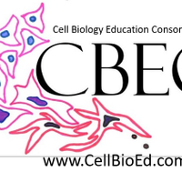 Cell Biology Education Consortium (CBEC)(@CellBioEd) 's Twitter Profile Photo