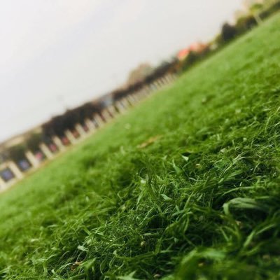 Artificial grass supplier. Avaliable in Kuwait. Just contact me if u need artificial grass. If you are interested in it，contact me plz. Nice to meet you.