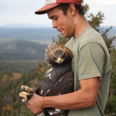 Wildlife biologist in the SF Bay Area. Former graduate student at Boise State studying the effects of parasites on golden eagle nestling ecology | he/him