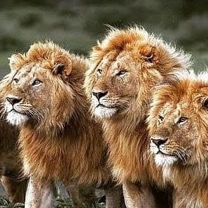 Beh30659937's profile picture. 