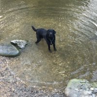 John Baston (@johnbaston7) 's Twitter Profile Photo