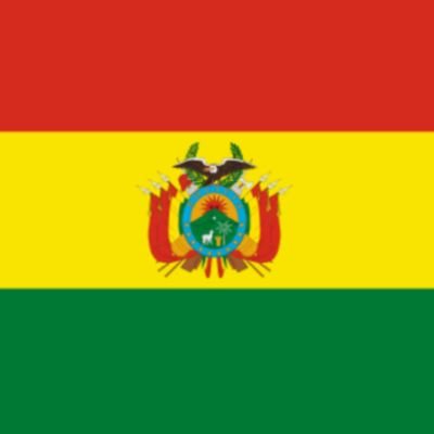 🇧🇴 Proud Bolivian 🇧🇴  #GeneracionPitita #BoliviaNoHayGolpe 
#NoCoupInBolivia
#BoliviaLibre
#Pitita
#pititatwittera