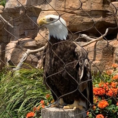 AubreySportsdad's profile picture. Aubrey grad 1985. US Navy 1986 to 1991.