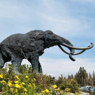 Dolosun1's profile picture. 