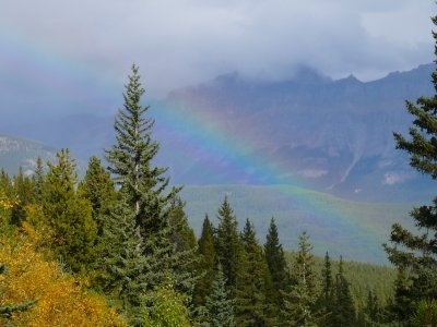 NPerson96's profile picture. 