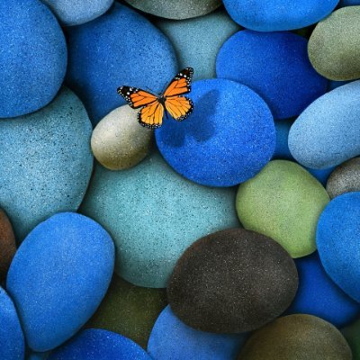 ValerieDingli's profile picture. 