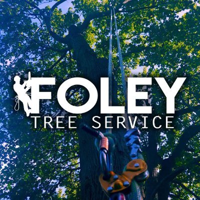 foley_trees Profile Picture