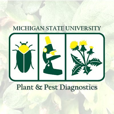 Specializing in the assessment of plant health problems and the pests/pathogens that cause them.