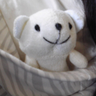 hontoasobo's profile picture. 公立小学校図書館司書　科学読み物、情報リテラシーに興味あり　地元図書館サポーターのゴレンジャーのレッド
