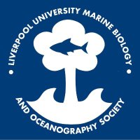 LUMOS (@livuni_moes) 's Twitter Profile