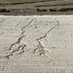 soilerosion (@soilerosion12) Twitter profile photo soilerosion (@soilerosion12) Twitter profile photo