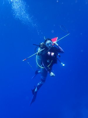 PhD Student in the Sogin lab at UC Merced
She/Her