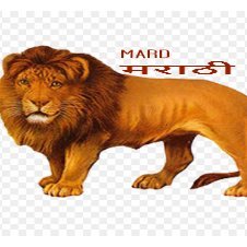 mardmarathi9's profile picture. Preparation for competitive exam
