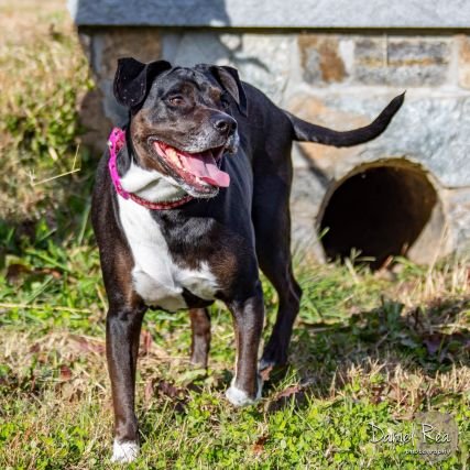 BeckatheWrecka's profile picture. Military, Jedi, Dem, everyone in USA should have healthcare, voting rights, protected civil rights, and the ability to live their best life. Not Nazis.