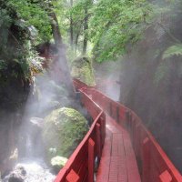 Ale.PPH. (@pph80444141) 's Twitter Profile Photo