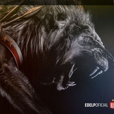 ing. en Sistemas , desarrollador Angular, Node, Flutter. Libertario y Pincharrata . Odio al cancer de la política