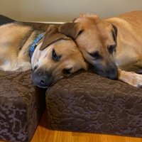 Weasel307 (@weasel3071) 's Twitter Profile