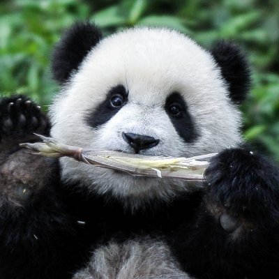 SPark0101's profile picture. 