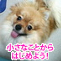 チョコ チョコチ (@cyokoti) 's Twitter Profile Photo チョコ チョコチ (@cyokoti) 's Twitter Profile Photo