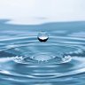 YHS_jobs's profile picture. Hydrology opportunities (Master's courses, PhD, post-doc, research scientist positions, initiatives towards water research) powered by @YoungHydrology