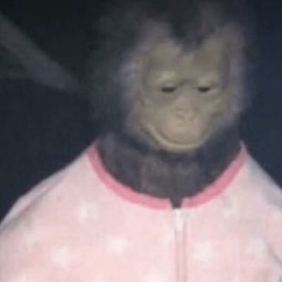 natnet17's profile picture. I like video games and play sports