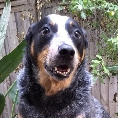 You should always try to be nice.
https://t.co/ta5T0mlCKy