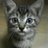 koppe71's profile image