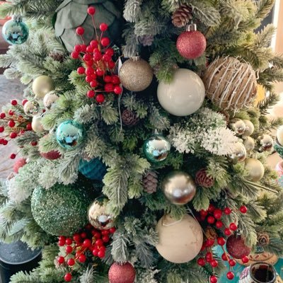 sprucedtree's profile picture. 