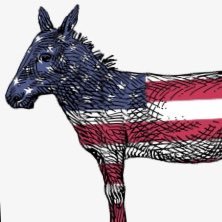 emd526's profile picture. 🇺🇸🦅👩🏻‍💻🏳️‍⚧️🏳️‍🌈✊🏿ally.