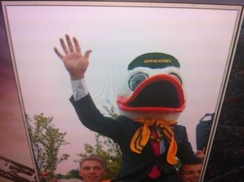 biscuttriscutt's profile picture. 