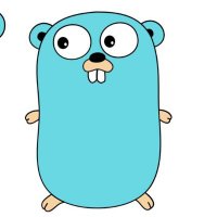 Pune Gophers (@punegophers) 's Twitter Profile Photo