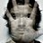 arnolam's profile image
