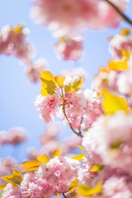 Hello ! Avide de lecture, je me décide enfin à rejoindre twitter pour partager mes livres coup de coeur ! :)
J'aime aussi écrire sur mes heures perdues.