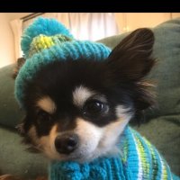 Miyuki (@coco252575211) 's Twitter Profile